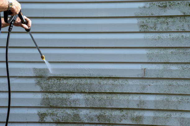 Best Residential Vinyl Siding Installation  in Bay Minette, AL