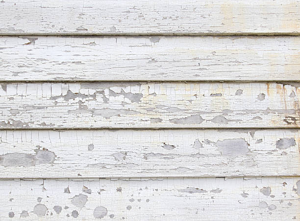 Best Fiber Cement Siding Installation  in Bay Minette, AL